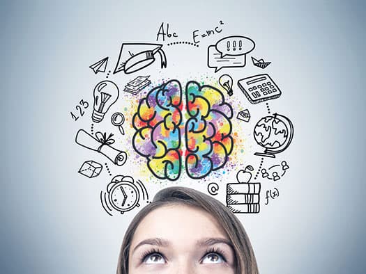 Cover der Führungsgeschichte über Ambiguität