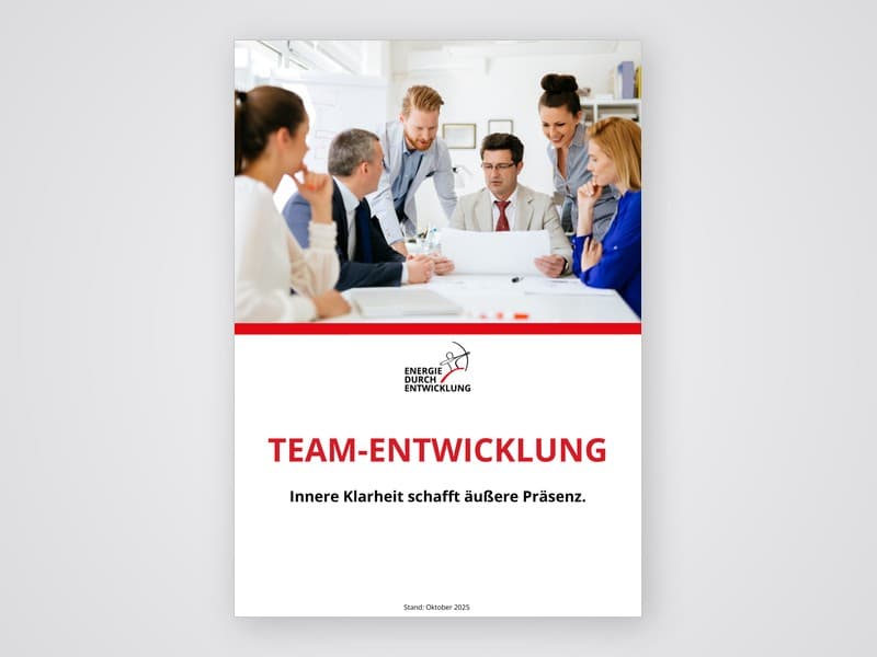 Team­entwicklung Broschüre